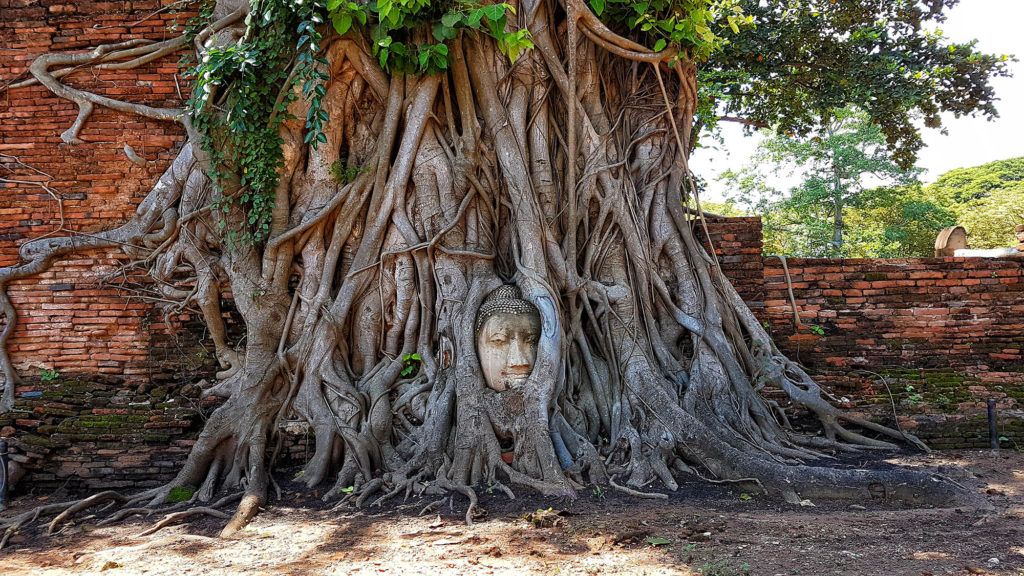 Qué ver en Ayutthaya: Wat Maha That