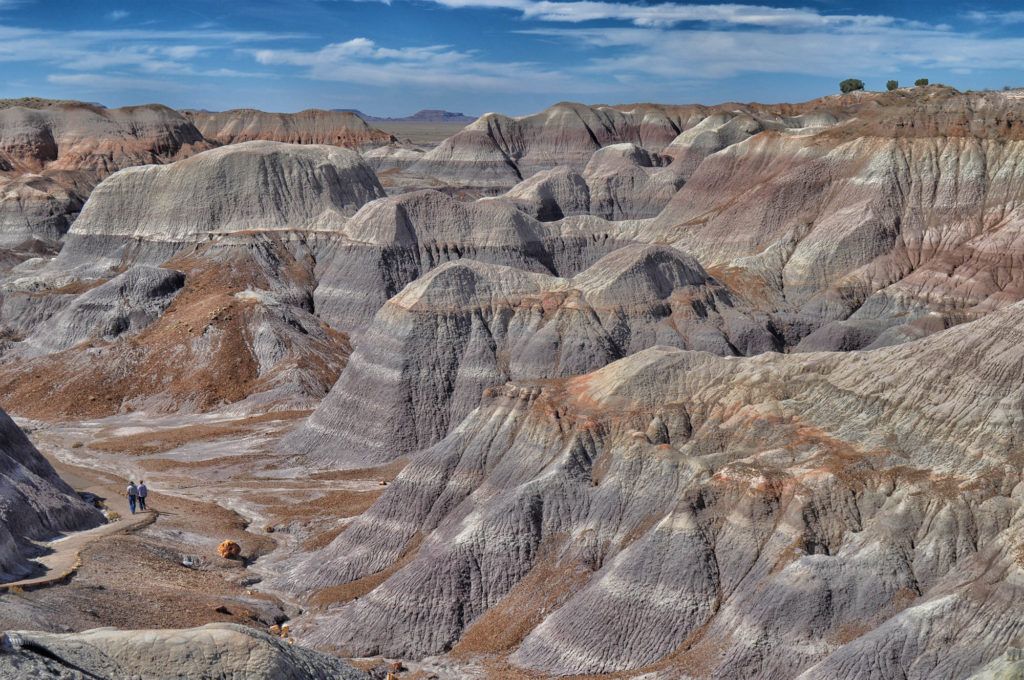 Etapa 8 de la Ruta 66: Petrified Forest - sitios que no te puedes perder si haces la Ruta 66