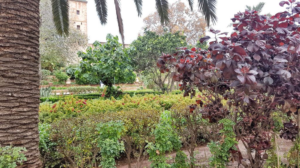 Qué ver en Rabat: Kasbah de los Oudayas