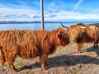 Ruta por Escocia en coche: 8 días en las Highlands