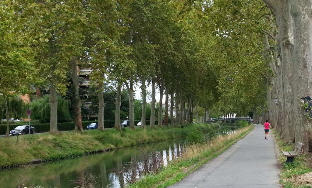 Qué ver en Toulouse: Canal du Midi