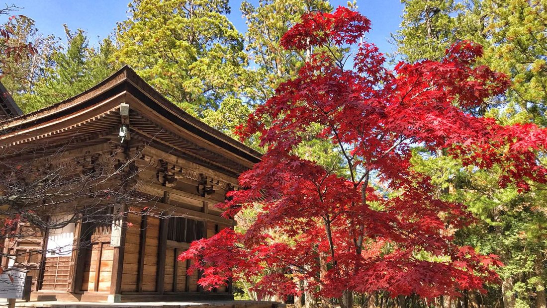 ▷ ¿Cuánto cuesta un viaje a Japón? Presupuesto para 21 días (y para 10 y 15 días)