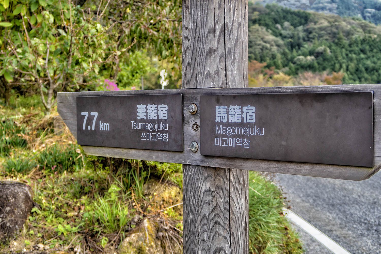 40 curiosidades de Japón que SEGURO que no sabías