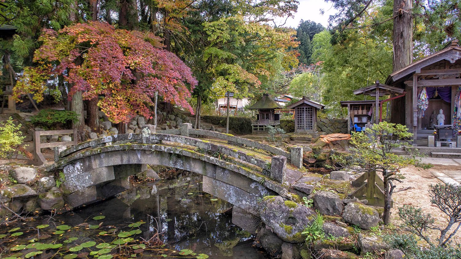 ¿Cuál es la mejor época para viajar a Japón? Clima, festivales y eventos