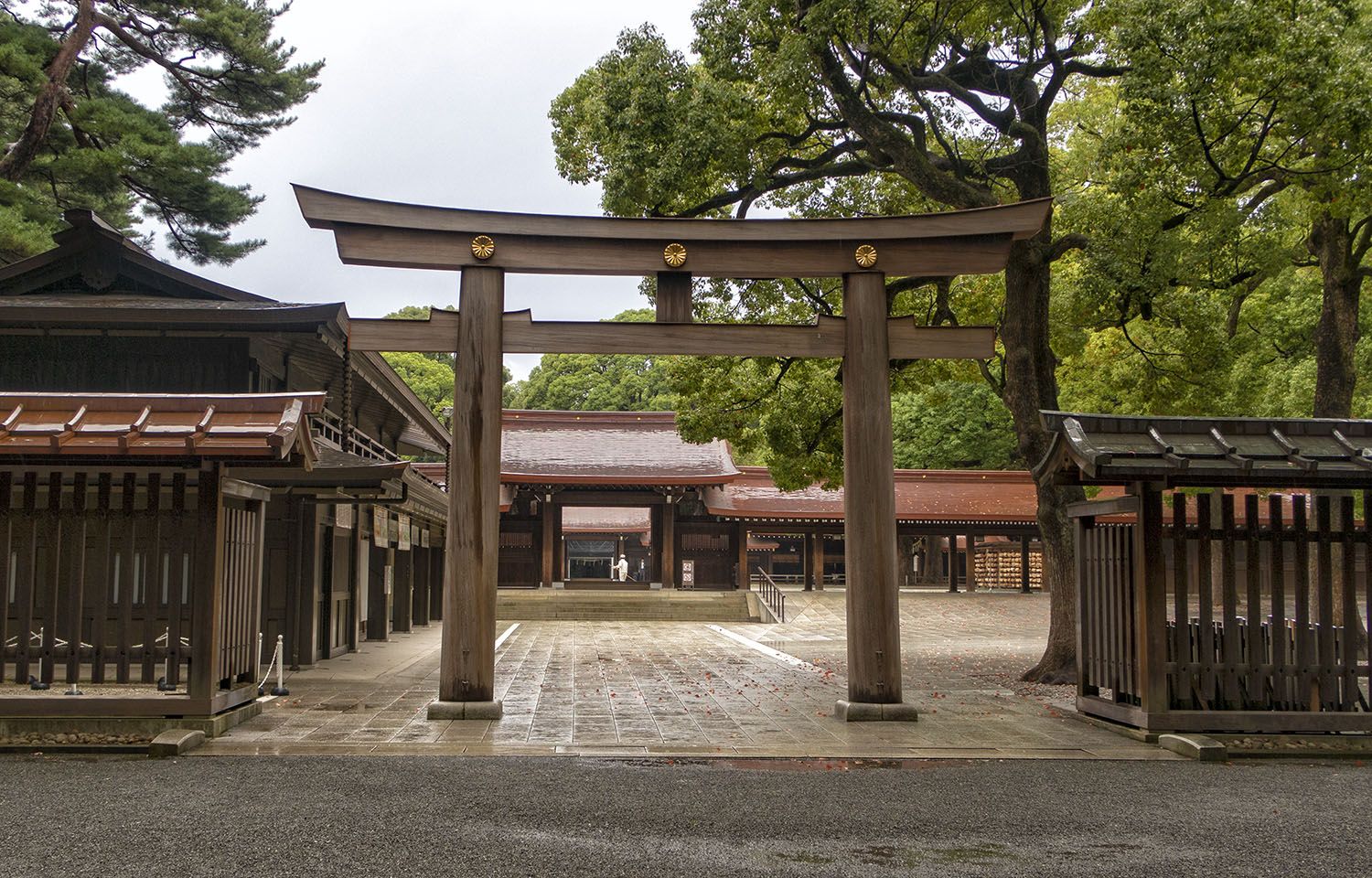 Qué ver y hacer en Harajuku: Santuario Meiji - imprescindibles en Tokio