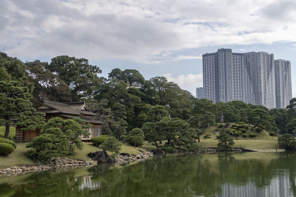 Qué ver y hacer en Chuo: Hamarikyu Gardens - imprescindibles en Tokio