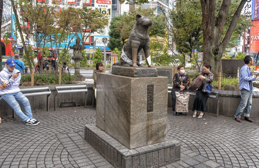 Qué ver y hacer en Shibuya: Estatua de Hachiko
