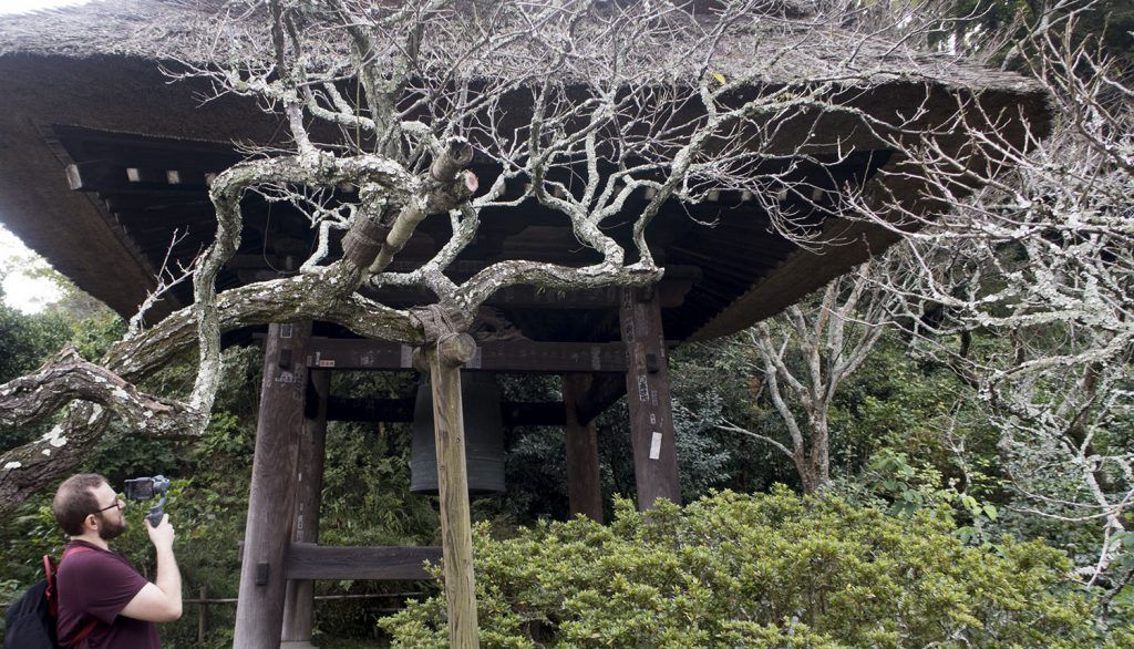 Qué ver en Kamakura: Templo Tokeiji