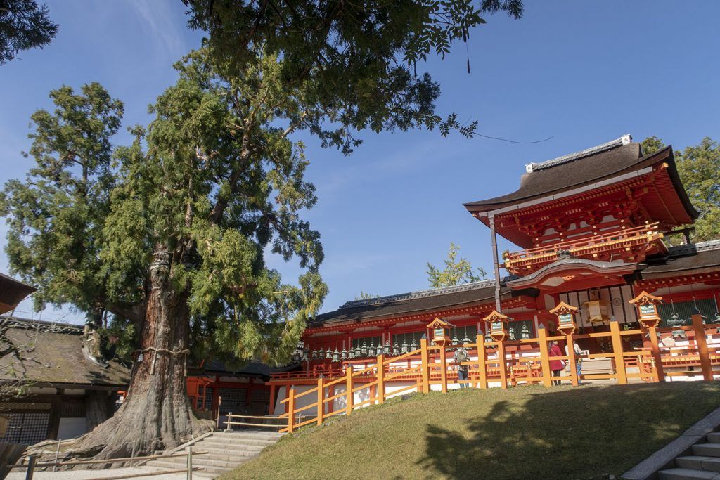 Qué ver en Nara: Kashuga Taisha
