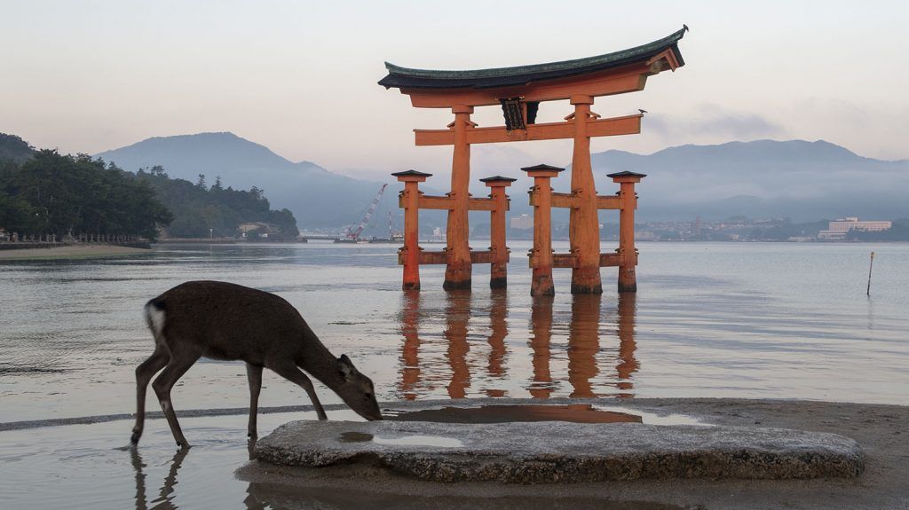 Qué ver en Miyajima: torii Miyajima - imprescindibles en Japón