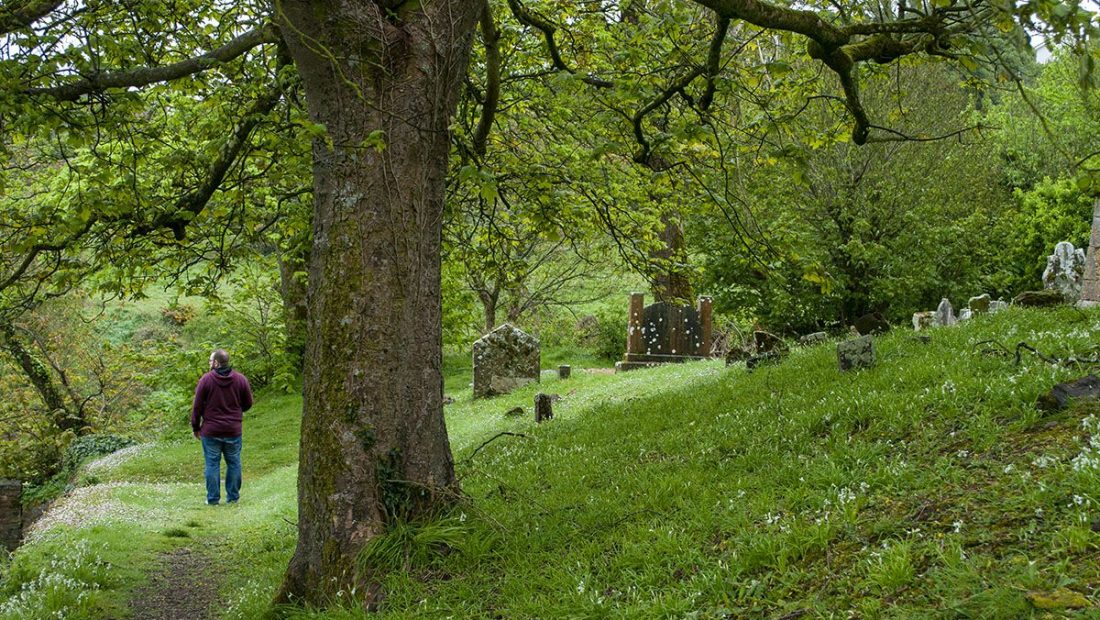 Ruta por Irlanda | Waterford – Killarney [MAPA + QUÉ VER + VÍDEO]