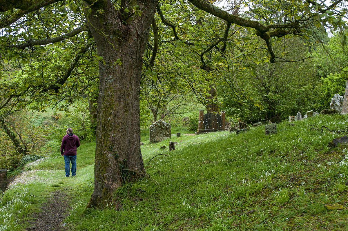 Ruta por Irlanda | Waterford – Killarney [MAPA + QUÉ VER + VÍDEO]