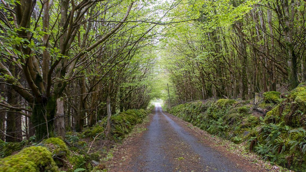Segunda etapa de nuestra ruta por Irlanda: Ring of Beara