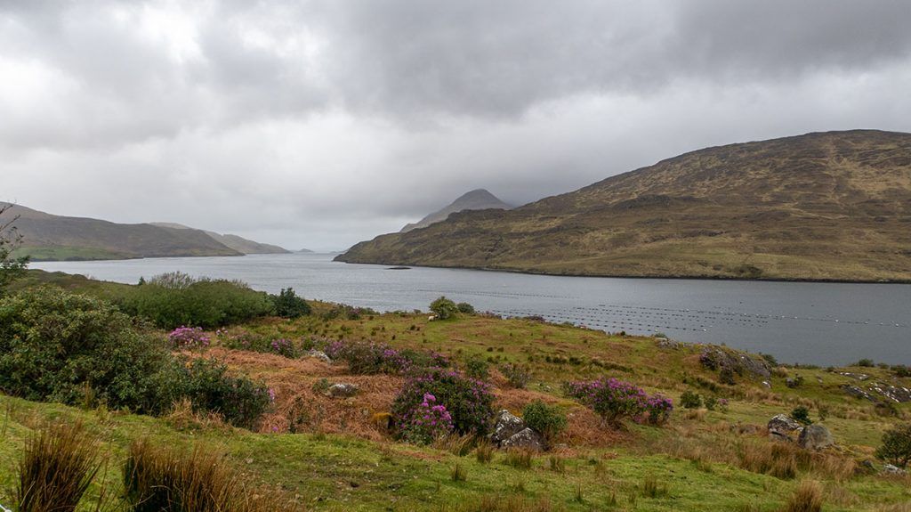 Quinta etapa de nuestra ruta por Irlanda: Killary Fjord