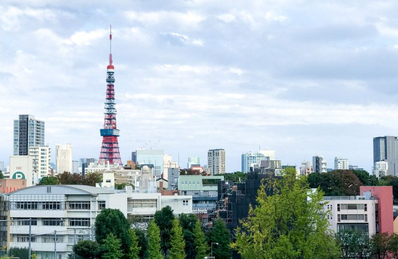 Las 20 mejores cosas de viajar a Japón