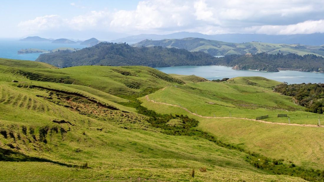 ▷ ¿Cuál es la mejor época para viajar a Nueva Zelanda? Clima, mes más barato, festivales y eventos