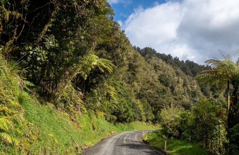Ruta por NZ | Etapa 3: Forgotten World Highway – Wellington [MAPA + QUÉ VER + VÍDEO]