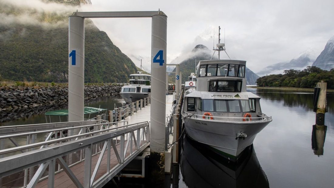 ▷ Crucero por Milford Sound: ¿CÓMO elegir el mejor? Nuestra experiencia + VÍDEO