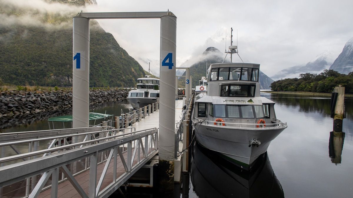 ▷ Crucero por Milford Sound: ¿CÓMO elegir el mejor? Nuestra experiencia + VÍDEO