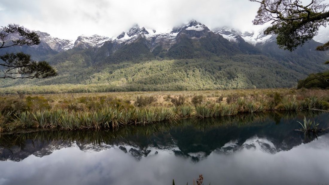Ruta por NZ | Etapa 9: Queenstown – Carretera a Milford Sound [MAPA + QUÉ VER + VÍDEO]