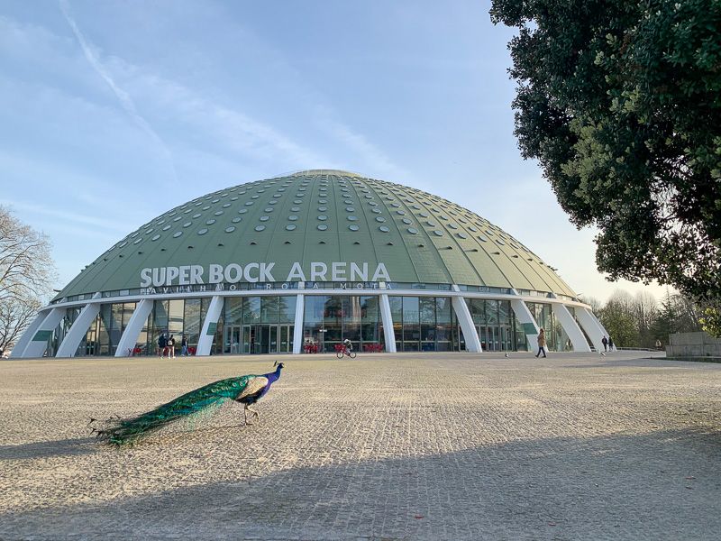 Qué ver en Oporto: Super Bock Arena