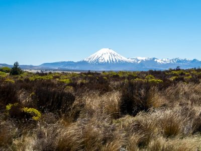 Ruta por NZ | Etapa 16: Wellington – Camino del Tongariro [MAPA + QUÉ VER + VÍDEO]