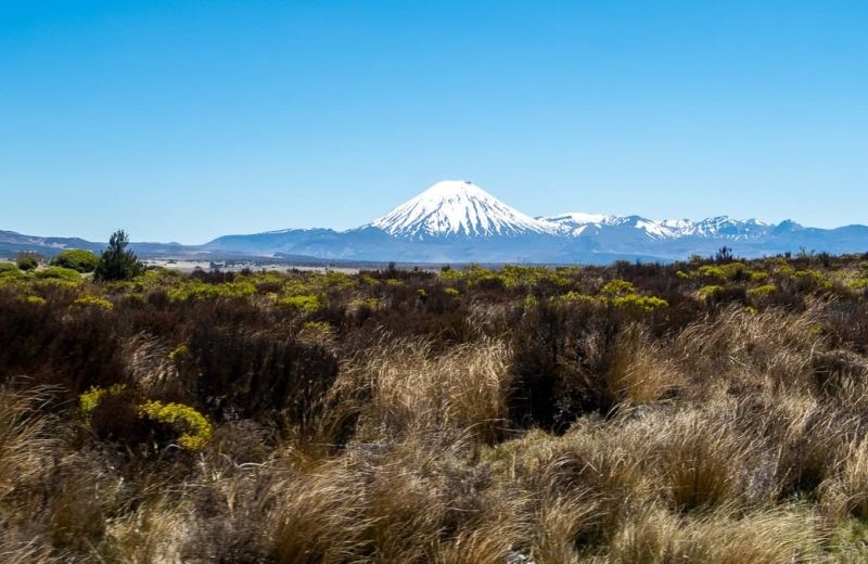 Ruta por NZ | Etapa 16: Wellington – Camino del Tongariro [MAPA + QUÉ VER + VÍDEO]