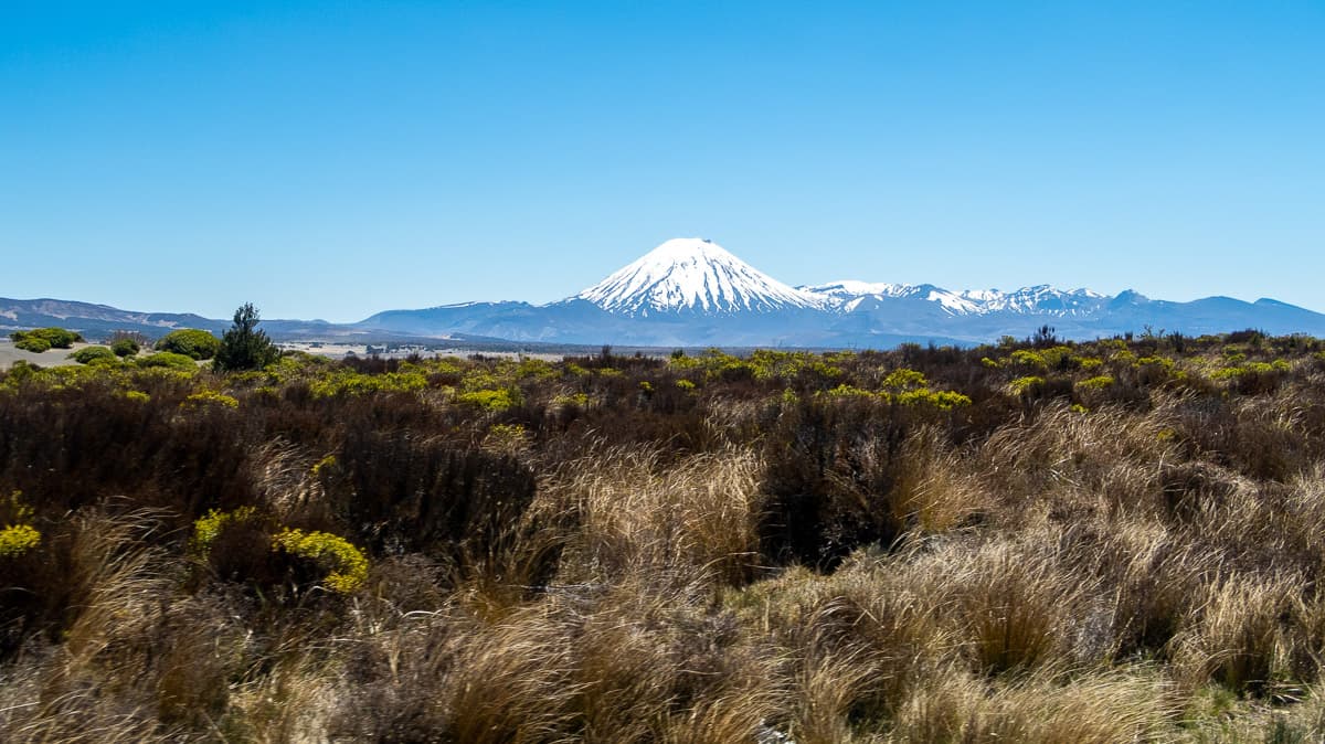 Ruta por NZ | Etapa 16: Wellington – Camino del Tongariro [MAPA + QUÉ VER + VÍDEO]