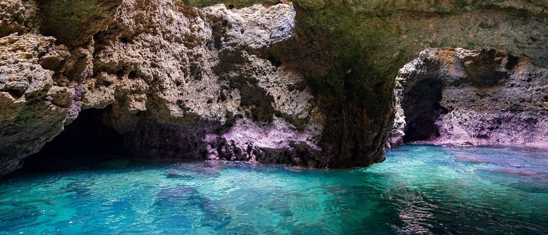 ▷ Paseo en barco por Ponta da Piedade: cuál elegir en 2026, precios, horarios e información útil