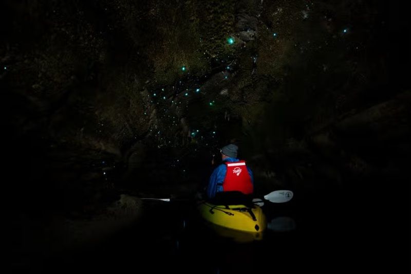 Qué hacer en Rotorua: un tour en kayak por Glow Worm