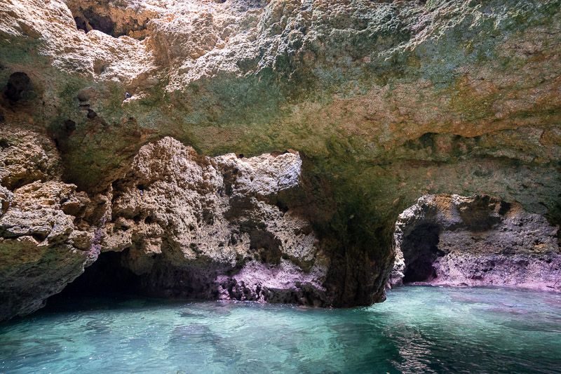 Paseo en barco por Ponta da Piedade: hay cuevas realmente impresionantes