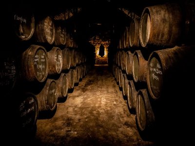 Visitar una bodega de vino en Oporto: consejos para elegir BIEN