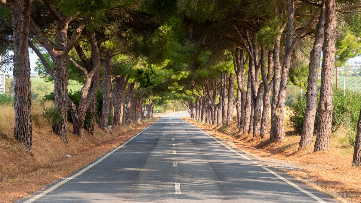 Ruta por la N2 | Etapa 5: Ferreira do Alentejo – Faro [MAPA + QUÉ VER + VÍDEO]