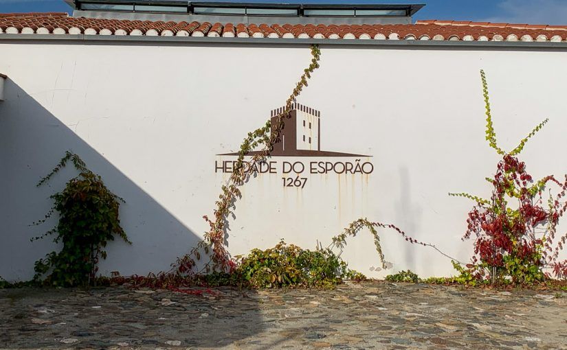 Herdade do Esporao: aquí se produce el mejor aceite (y el mejor vino) de Portugal