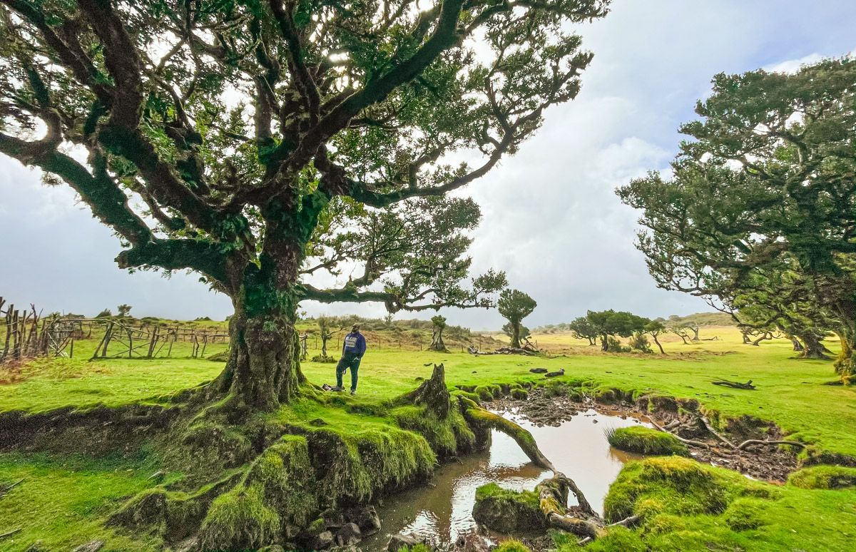 30 lugares imprescindibles en Portugal que tienes que visitar sí o sí