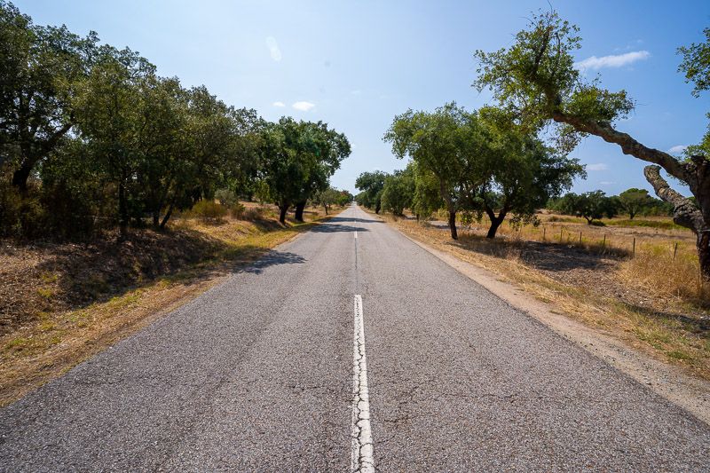 12 curiosidades de la Estrada N2 de Portugal que seguro que no sabías
