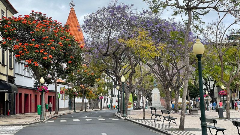 Qué ver en Funchal: Avenida Arriaga