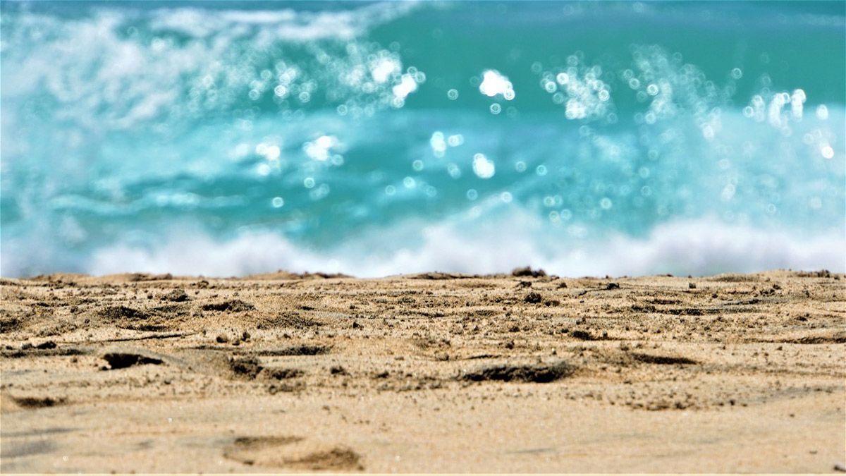 Fuerteventura, un paraíso todo el año