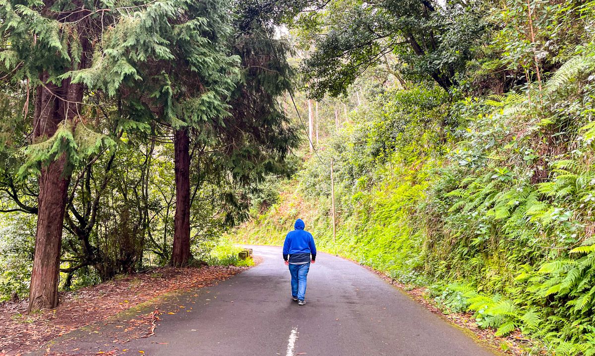 Ruta por Madeira en coche - LuggageHero