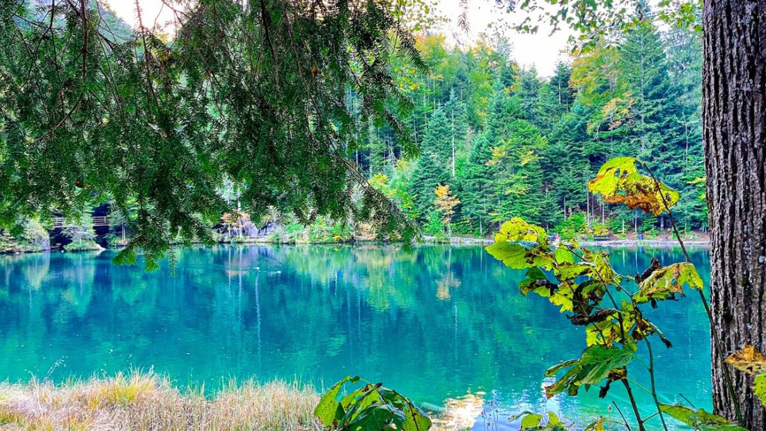 15+1 consejos para viajar a Suiza (y no liarla)