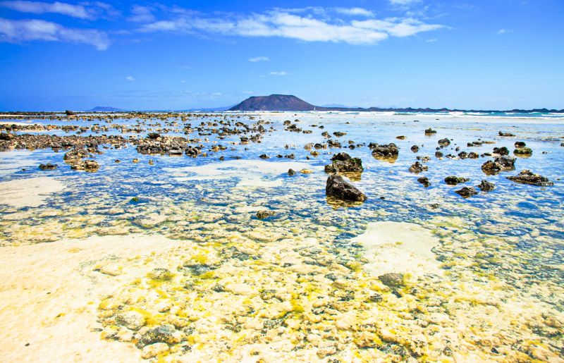 Cómo ir de Fuerteventura a la isla de Lobos: qué DEBES saber