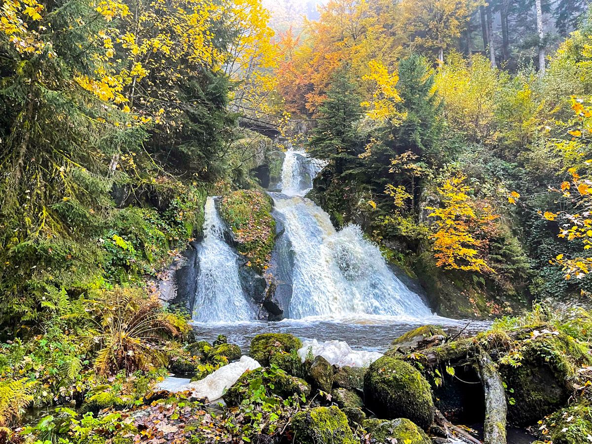Organizar un viaje a la Selva Negra: 12 claves para hacerlo paso a paso