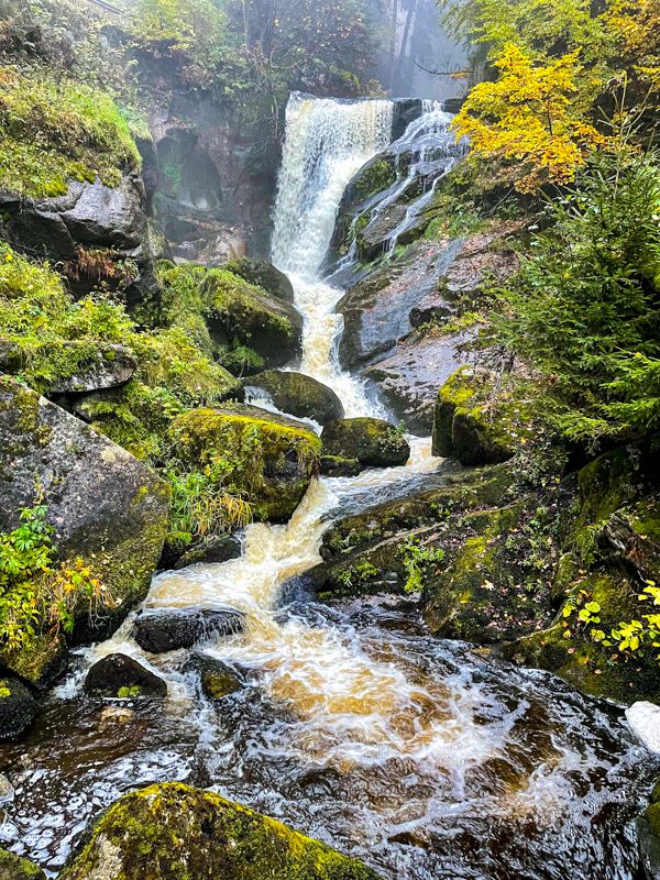 Qué ver en la Selva Negra: en la Selva Negra hay varias cascadas que merece la pena visitar