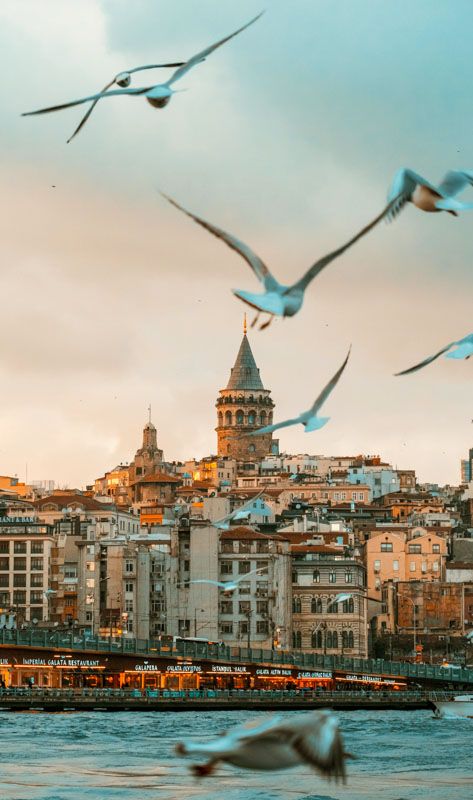 Crucero por el Bósforo en Estambul: qué empresa elegir, precios e info útil