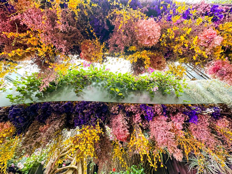 Gardens by the Bay: Floral Fantasy