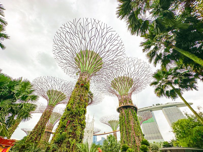 Gardens by the Bay: Supertree Grove