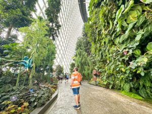 Jardines de la Bahía: Cloud Forest - seguros de viaje para España