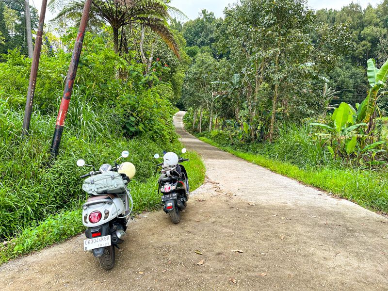 Consejos para viajar a Bali: lo mejor para moverse en Bali es alquilar una moto