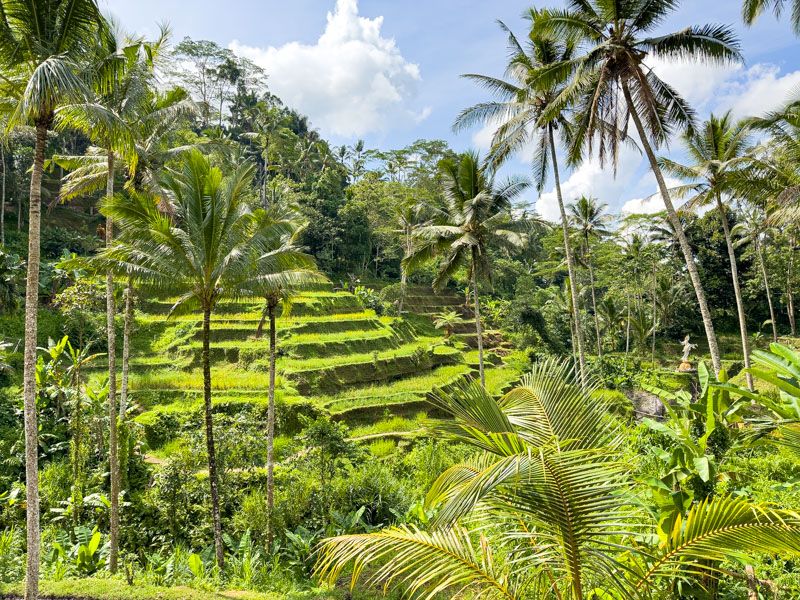 Requisitos para viajar a Bali: el visado para Bali cuesta 35 USD
