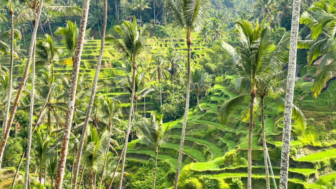 Requisitos para viajar a Bali: TODO lo que necesitas saber